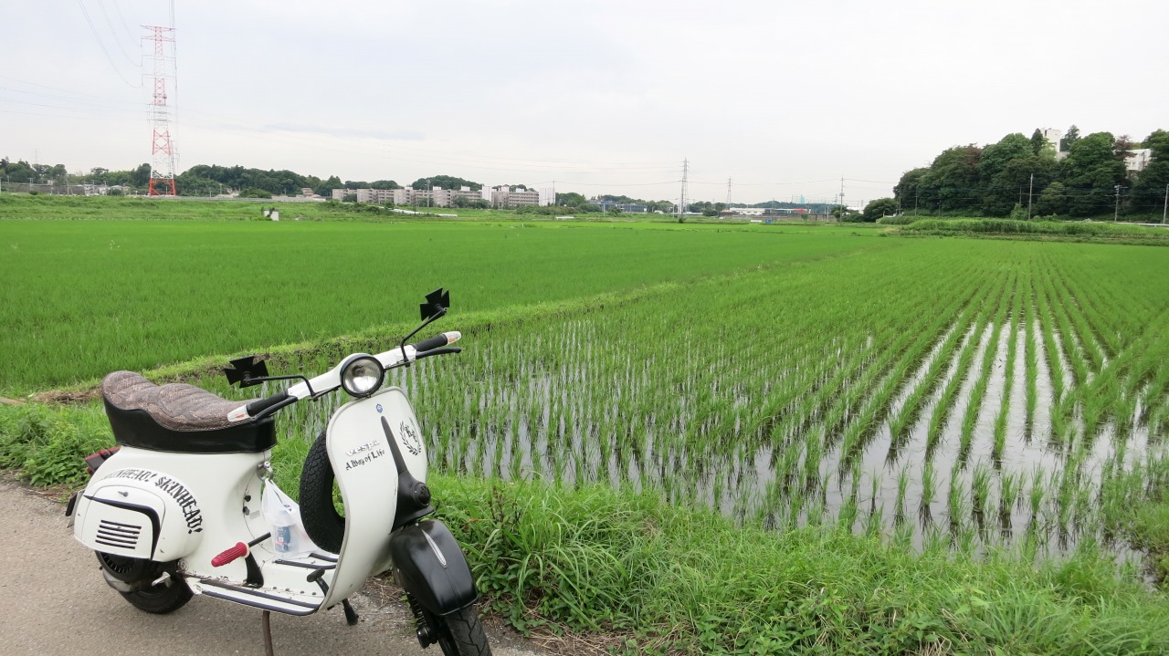 修正後のベスパで買い物試運転中