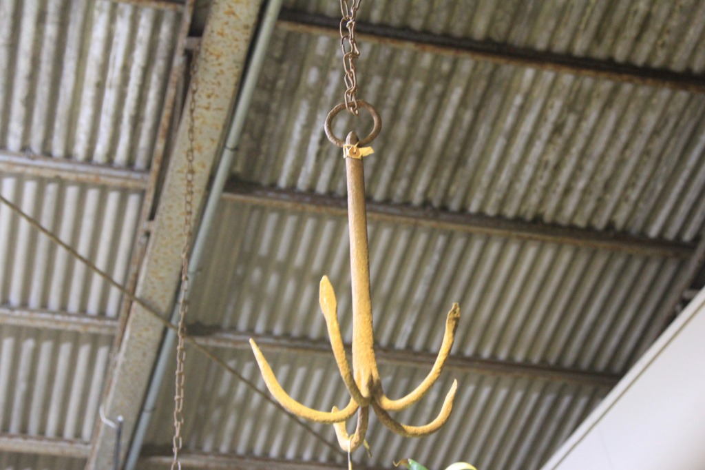 天井から吊るされた錨と植物
