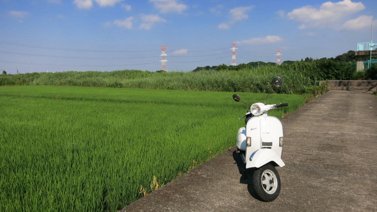 試運転中のベスパの後ろ姿