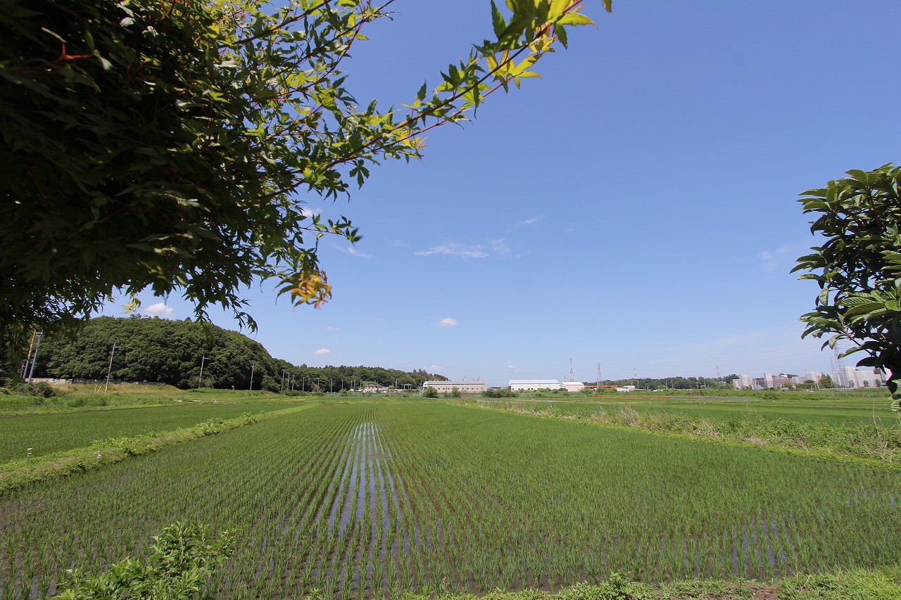 快晴の空の下、試運転日和の空模様