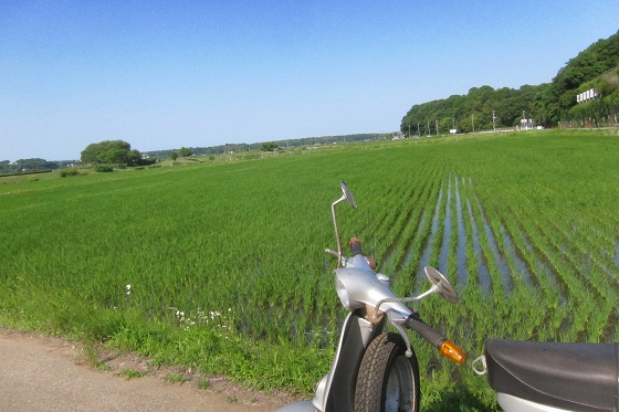 長期間眠っていた50sの試運転風景。路上で撮影。