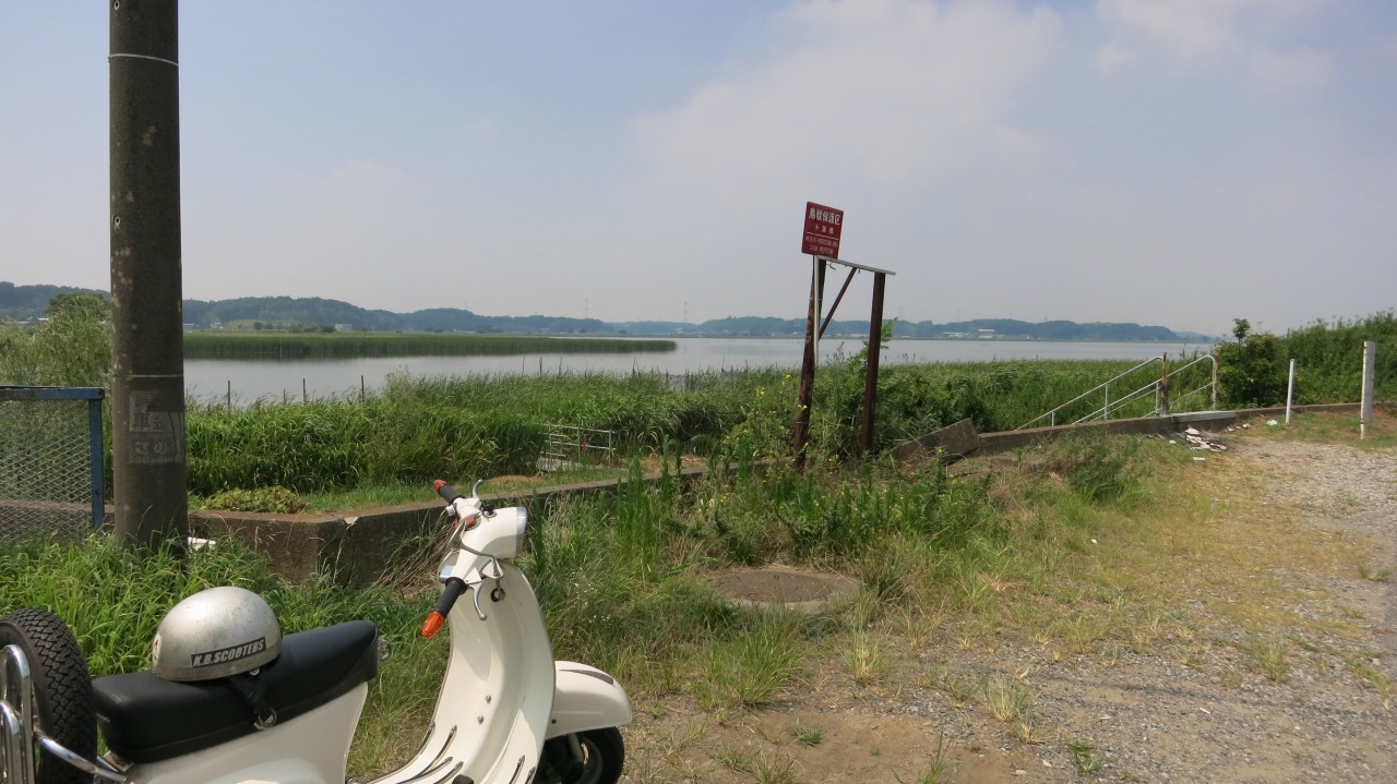 緑豊かな手賀沼と流れ込む川の風景