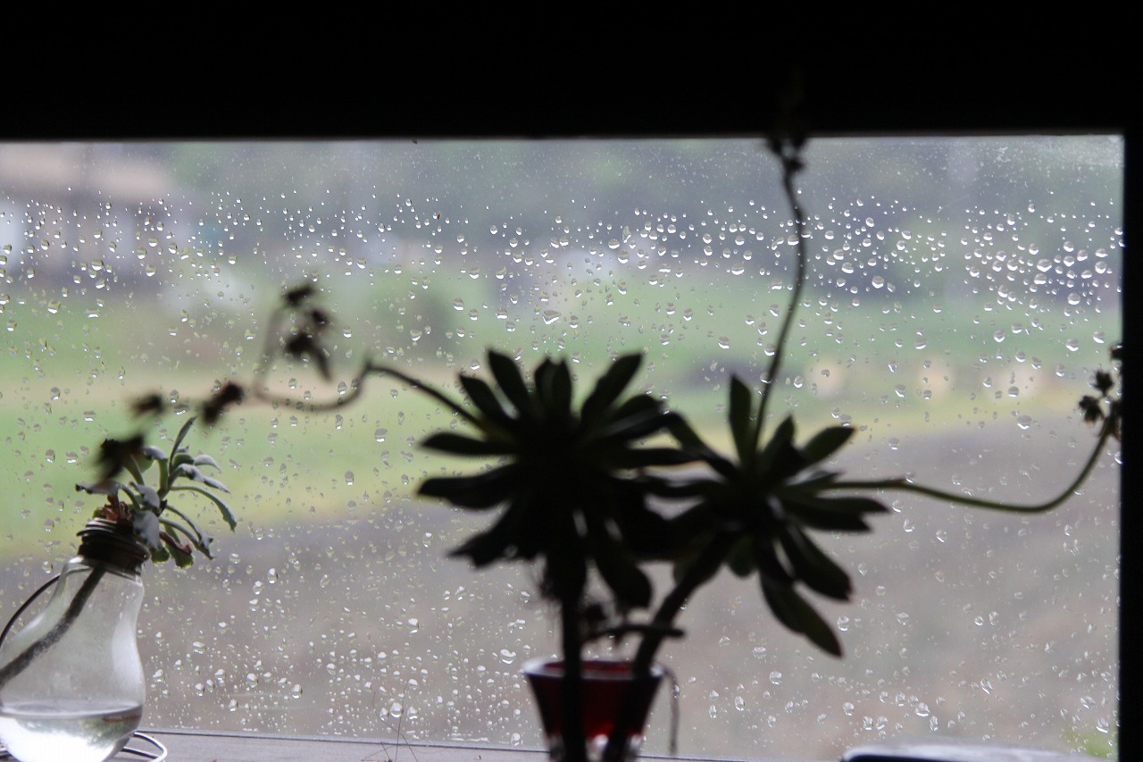 雨に濡れる店舗前の様子