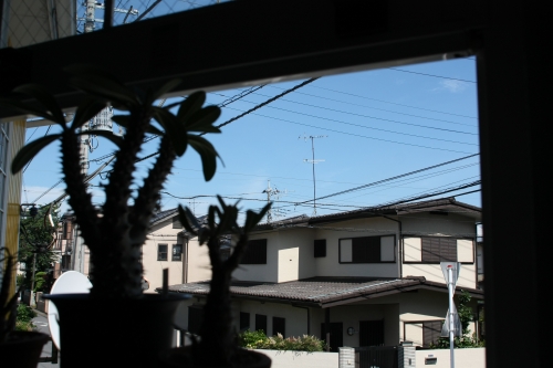 梅雨の合間に晴れた空を見上げて驚く朝