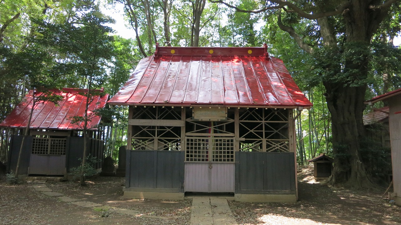道路沿いに静かに佇む神社の全景