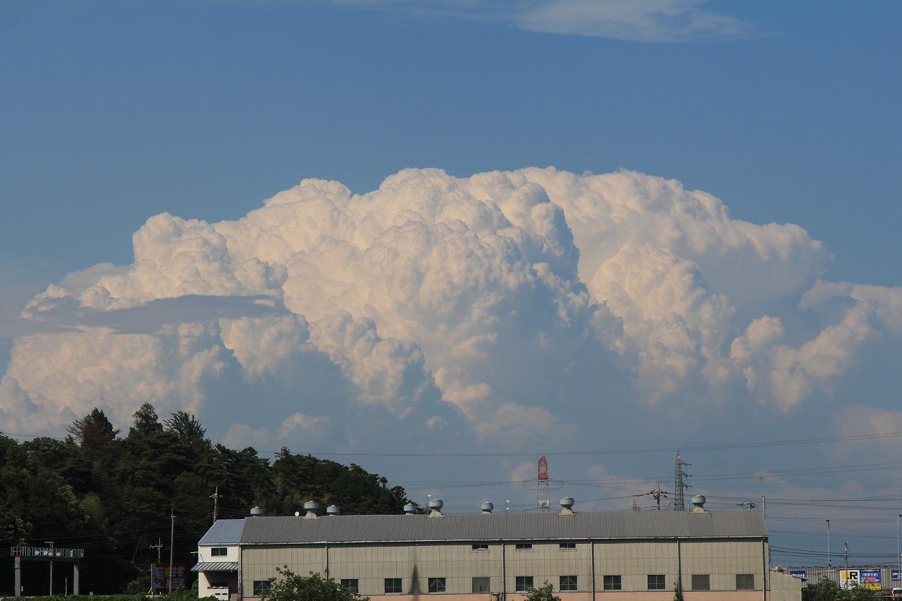 夏の空を感じさせる雲の様子