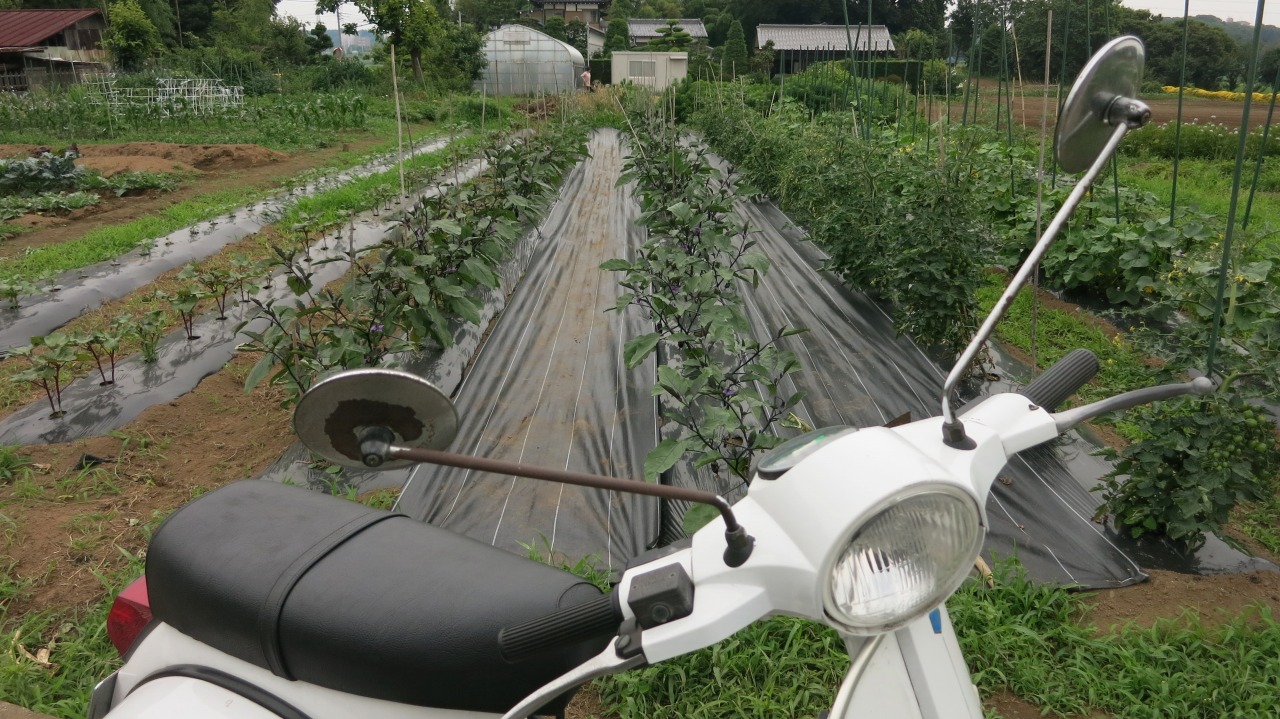 ご購入されたPX200FLの現状確認試運転