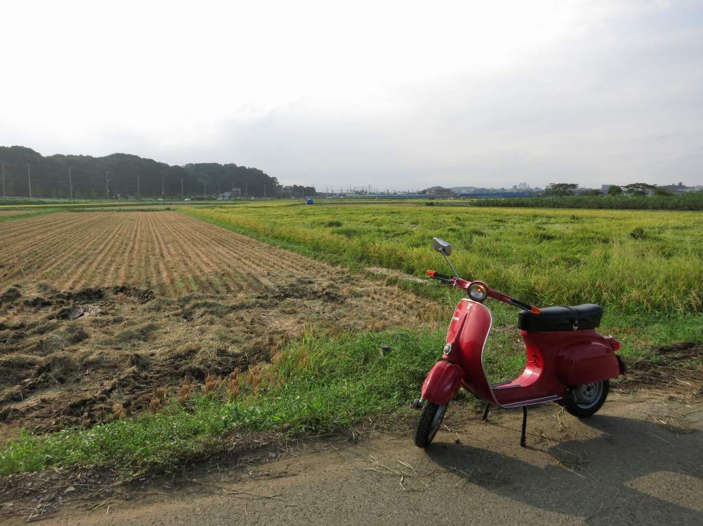 稲刈りが始まった田んぼの様子