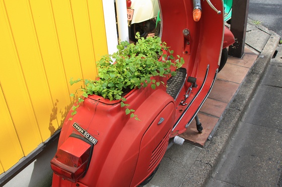 タンクとツールボックスに植物が植えられた状態