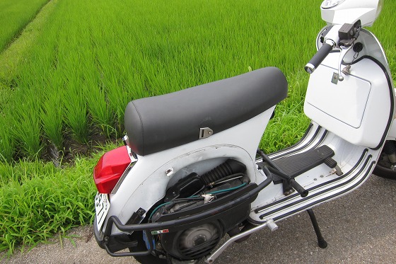 キャブ清掃後の試運転中に見た田んぼの緑。