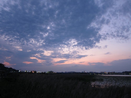 独身貴族3人で眺める淡い夕焼け