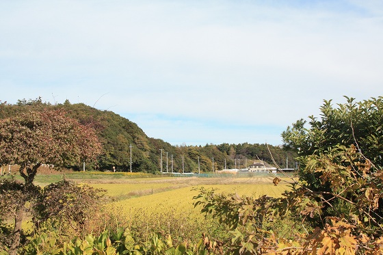 工場周辺の長閑な風景