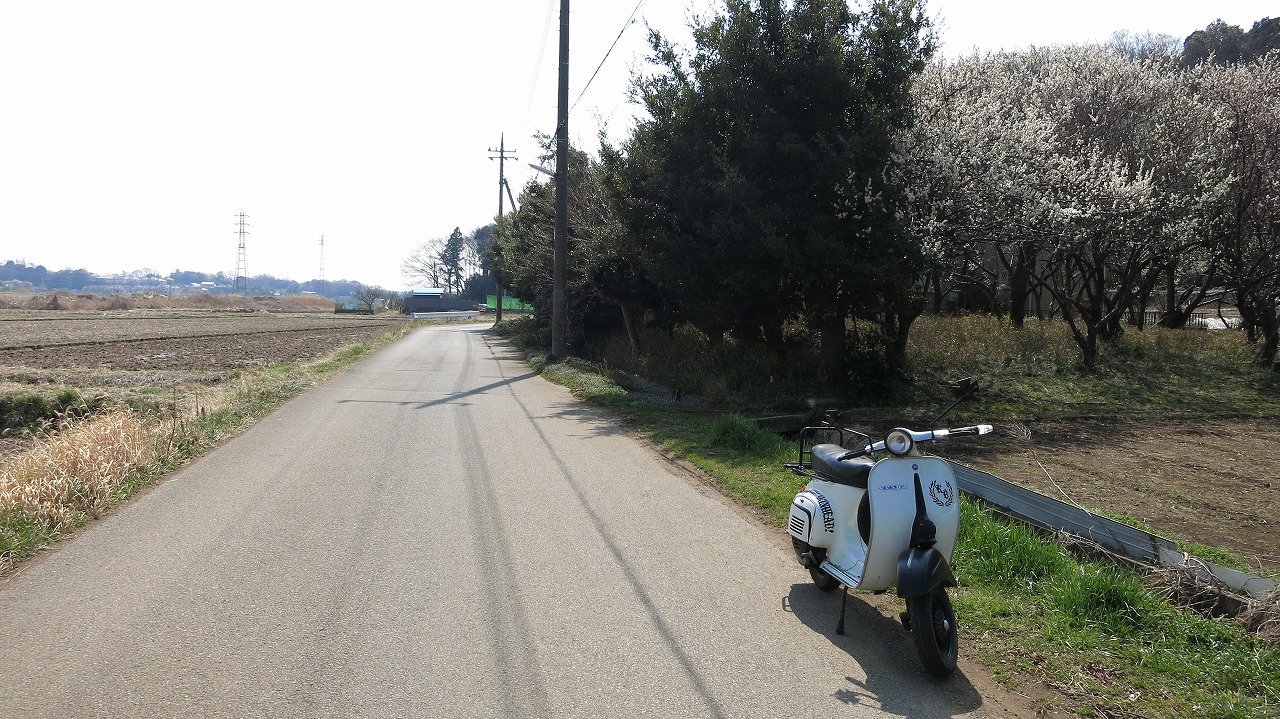 ギア抜けが発生している愛車のvespa100