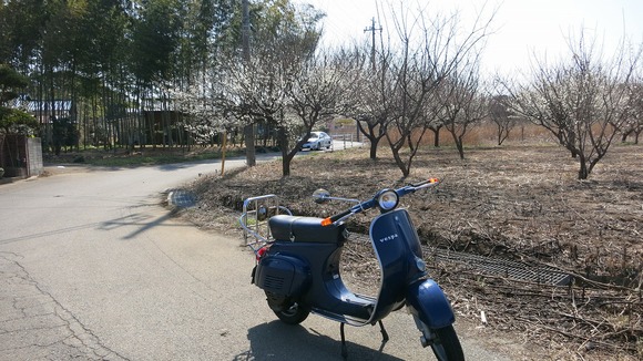 vespa50sの確認試運転中の様子