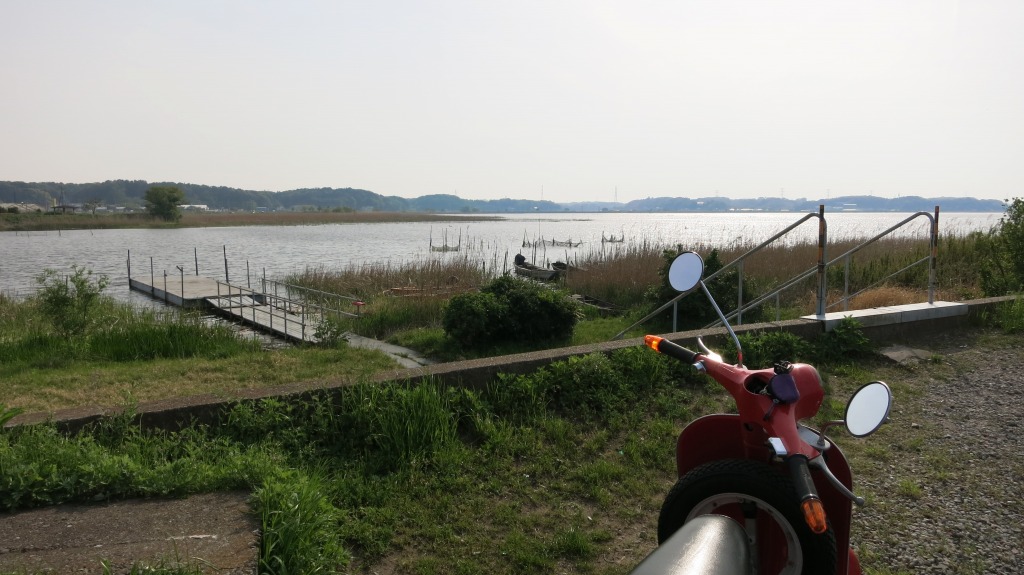 手賀沼パトロール中の風景