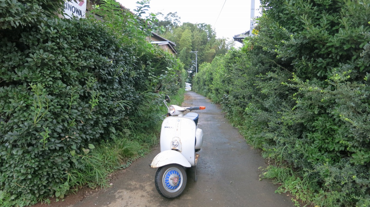 何度も繰り返し乗って確認する様子