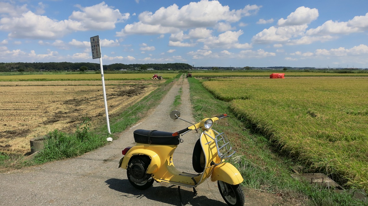 稲刈りが始まり寂しい雰囲気の田んぼ