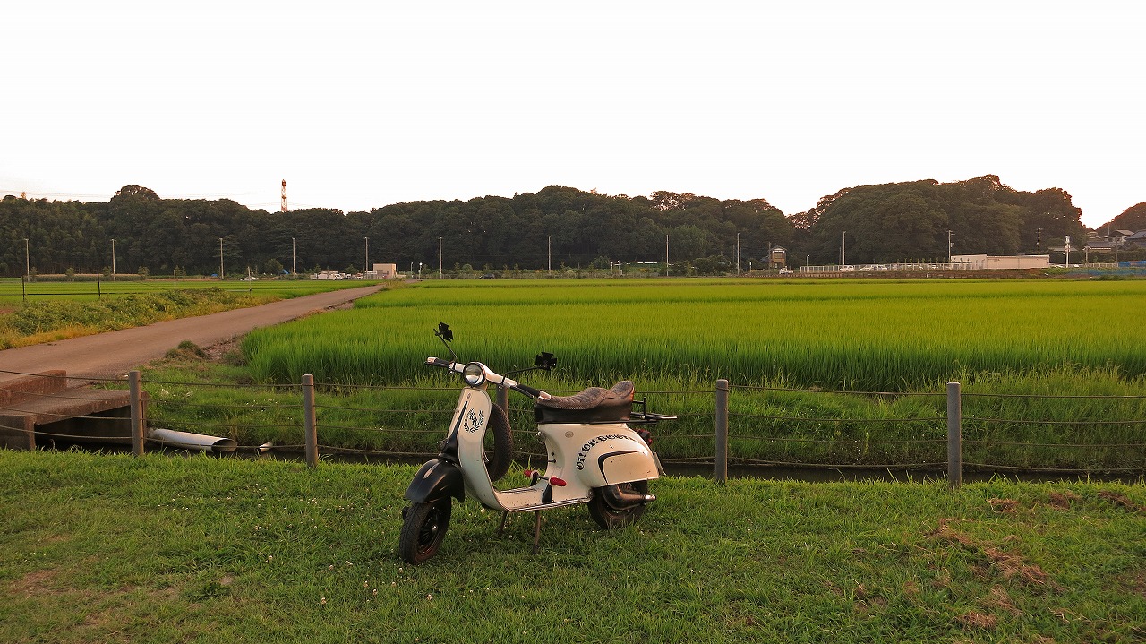 手賀沼沿いに停車したベスパ100