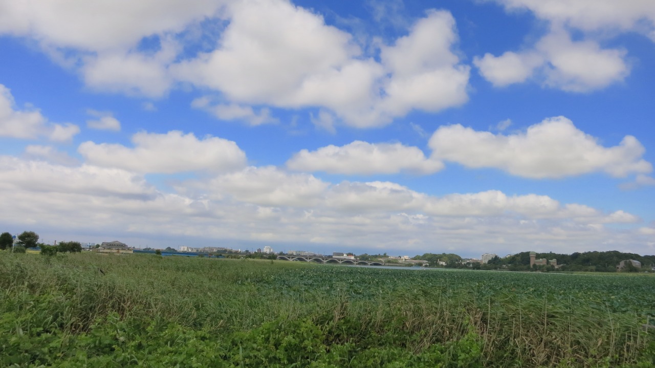 ヨットが風を受けて気持ち良く進んでいく風景