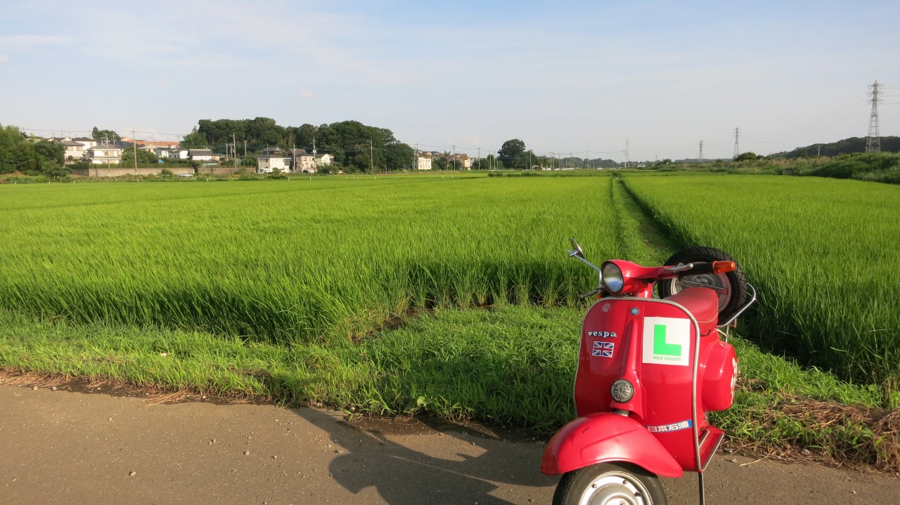 赤の50sも試運転