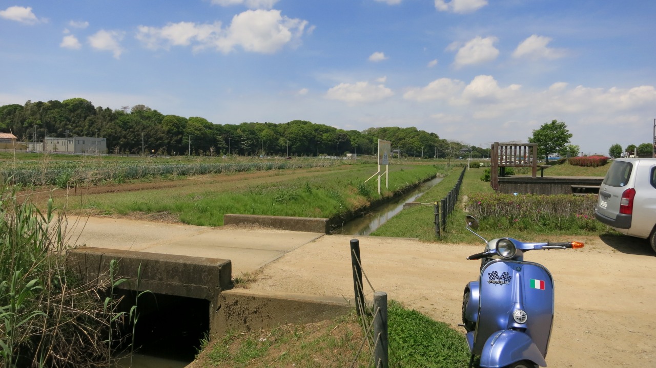 新入社員候補のメダカやエビの狩場をパトロール中の風景。