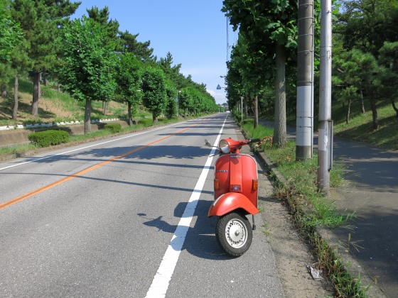 緑の中の道を進むベスパ、手賀沼沿いの景色