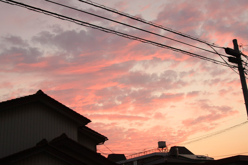 夕陽が建物越しに赤く染まる瞬間。