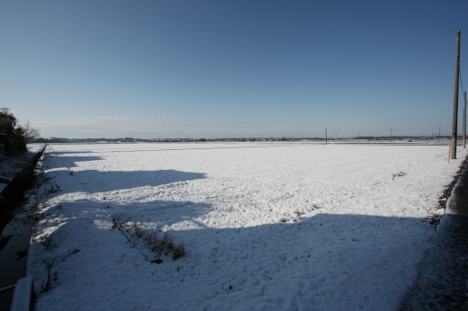 田んぼ一面に雪が積もった冬の朝の風景