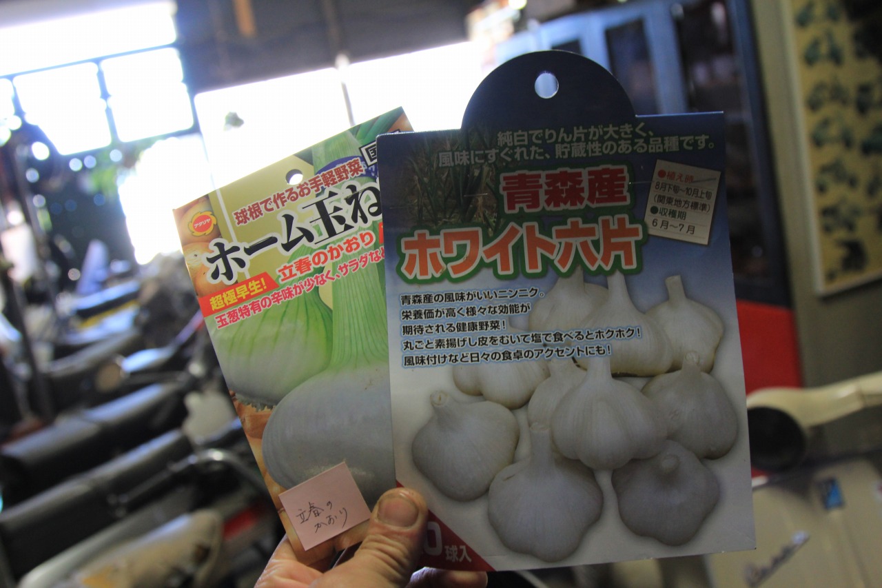 ニンニクと玉葱を植えた畝の写真