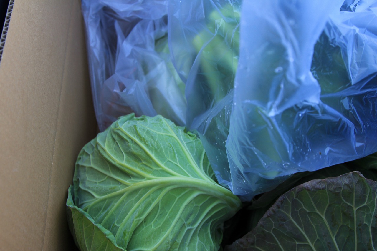 ベスパの荷台に詰め込まれたキャベツなどの野菜