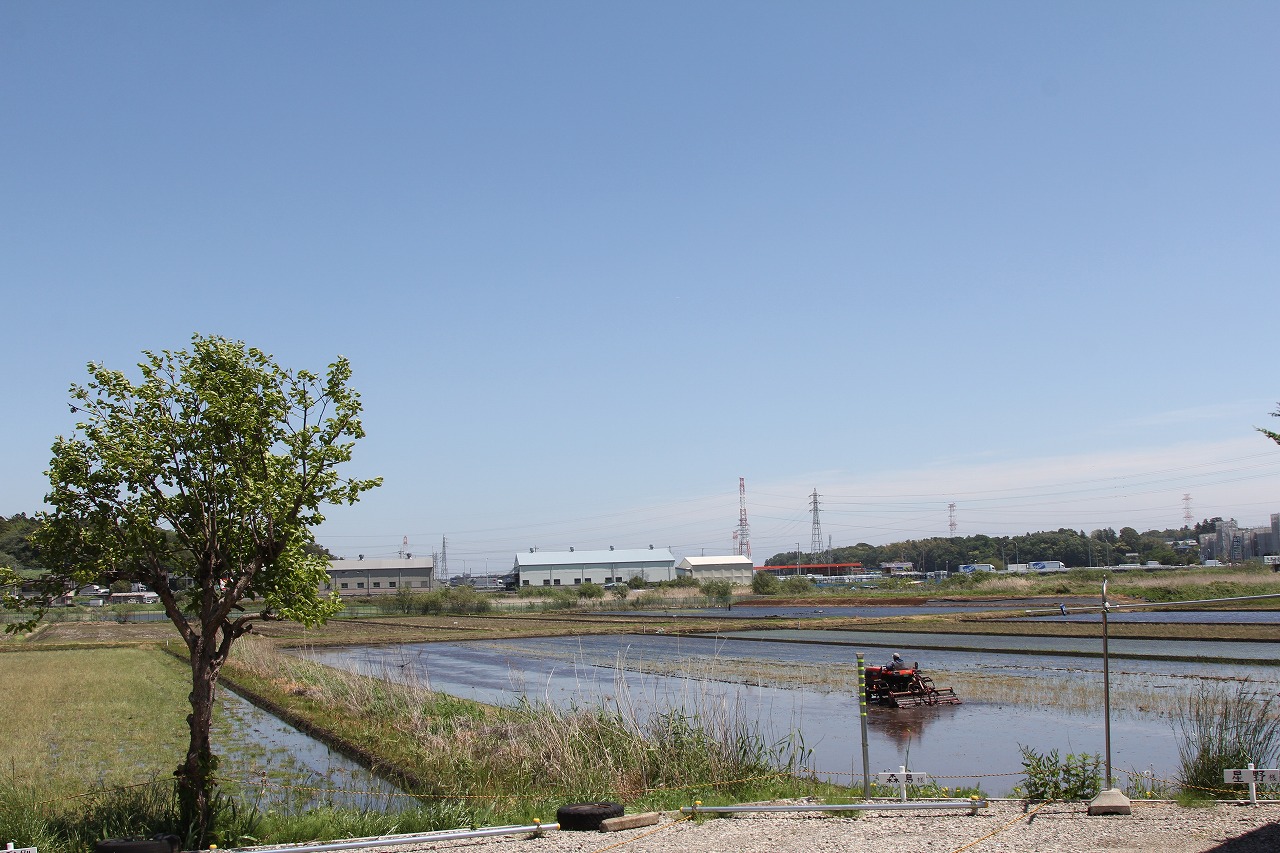 田植え作業中のモンスターマシンが動き回る水田