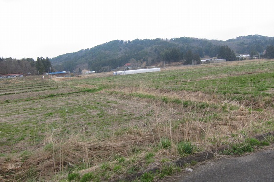 耕す人のいなくなった原発周辺の広大な耕作地。
