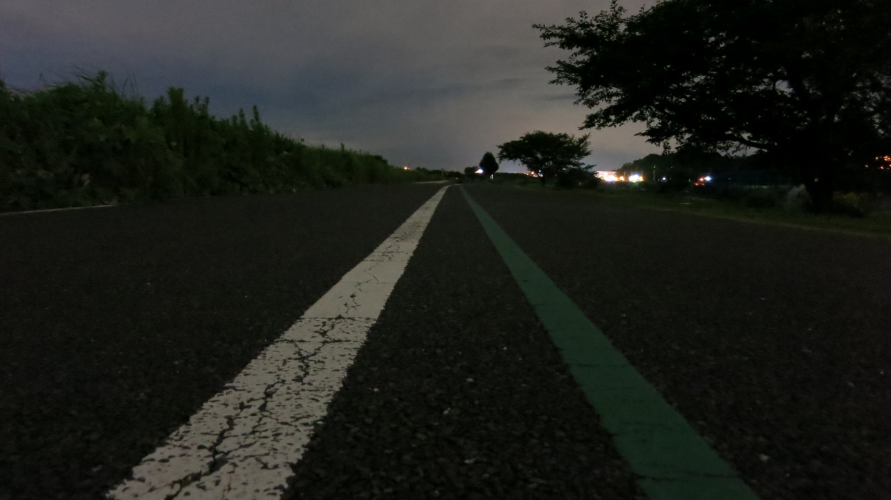 手賀沼沿いの遊歩道を散歩