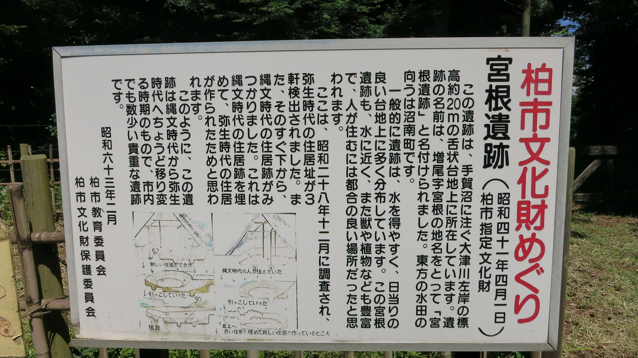 宮根遺跡の住居跡と思われる地形