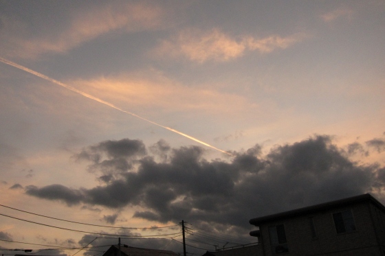 秋の空の下で撮影された風景