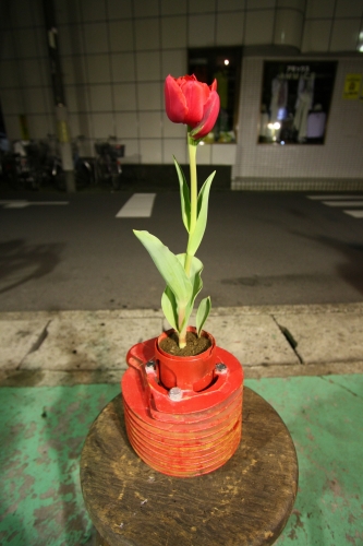 PX200のシリンダーから生えたチューリップの花