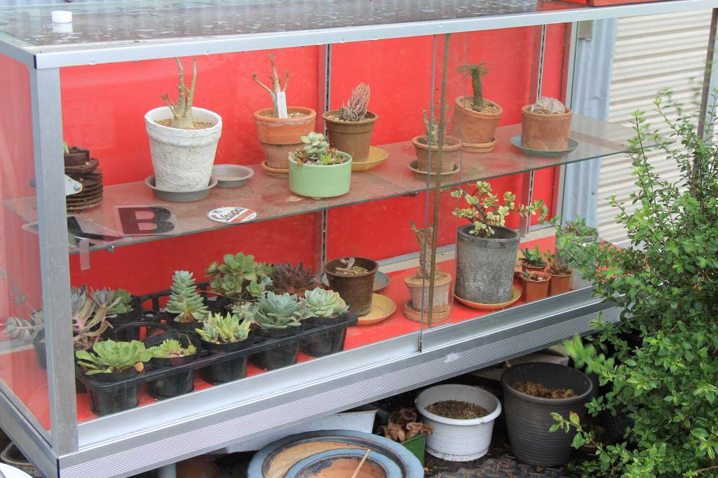 扉をはめて植物を保護した様子