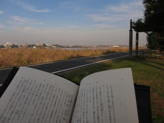 手賀沼沿いのベンチで読書を楽しむ風景。