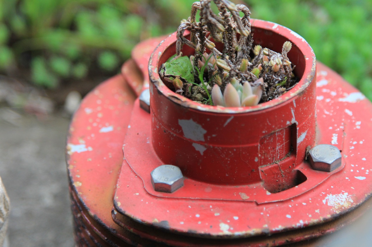 シリンダー型の植木鉢の中に佇むカエルの姿