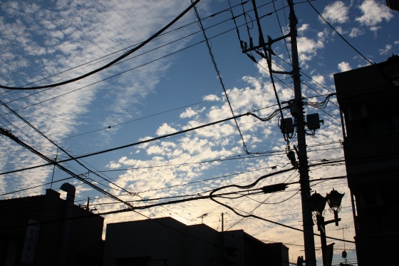 空を見上げた秋空と建物の風景