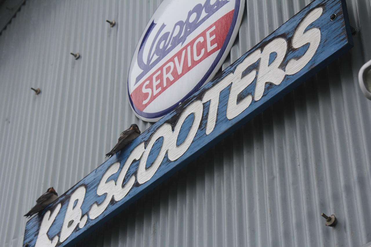 KB SCOOTERSの看板に止まって雨宿りするツバメ
