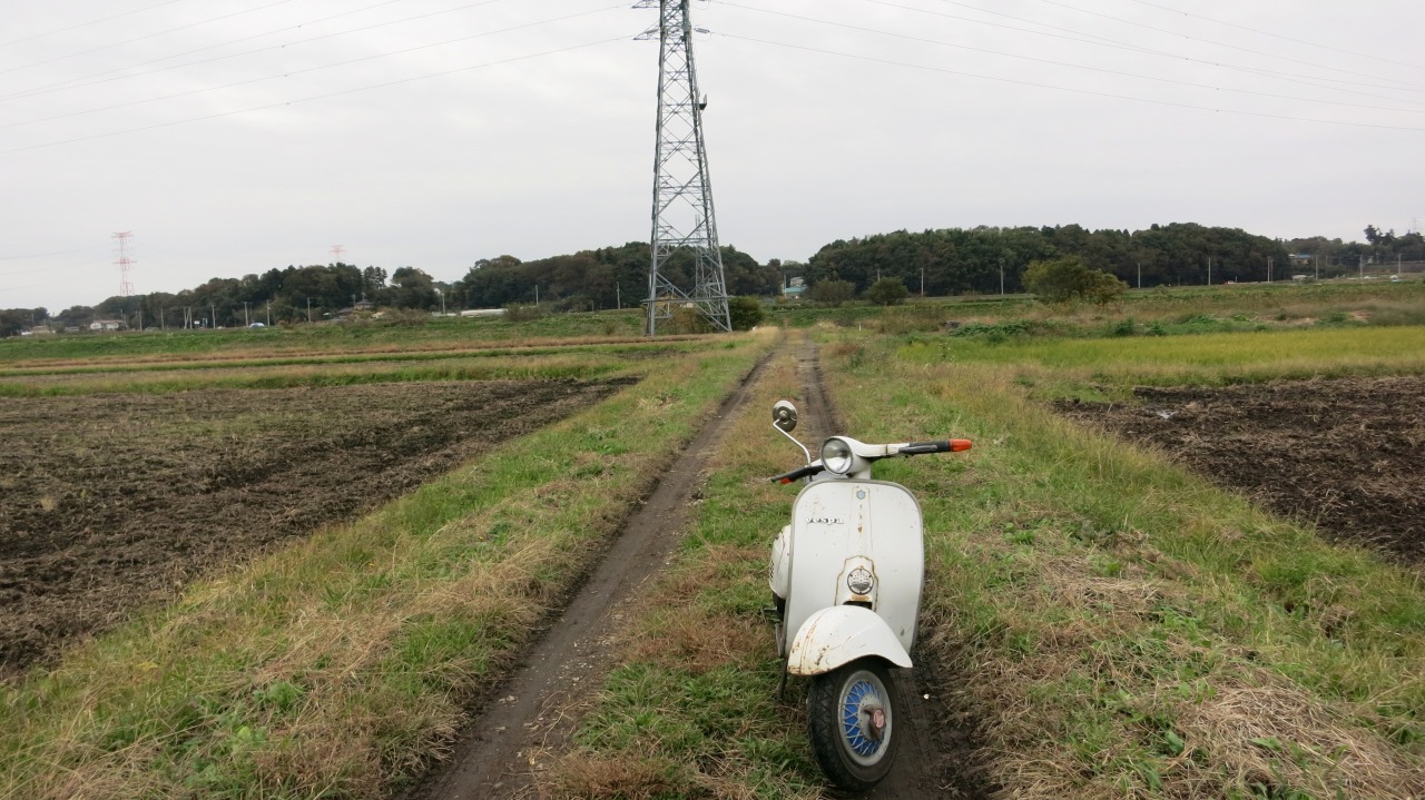 土手に登れずUターンすることになった場所