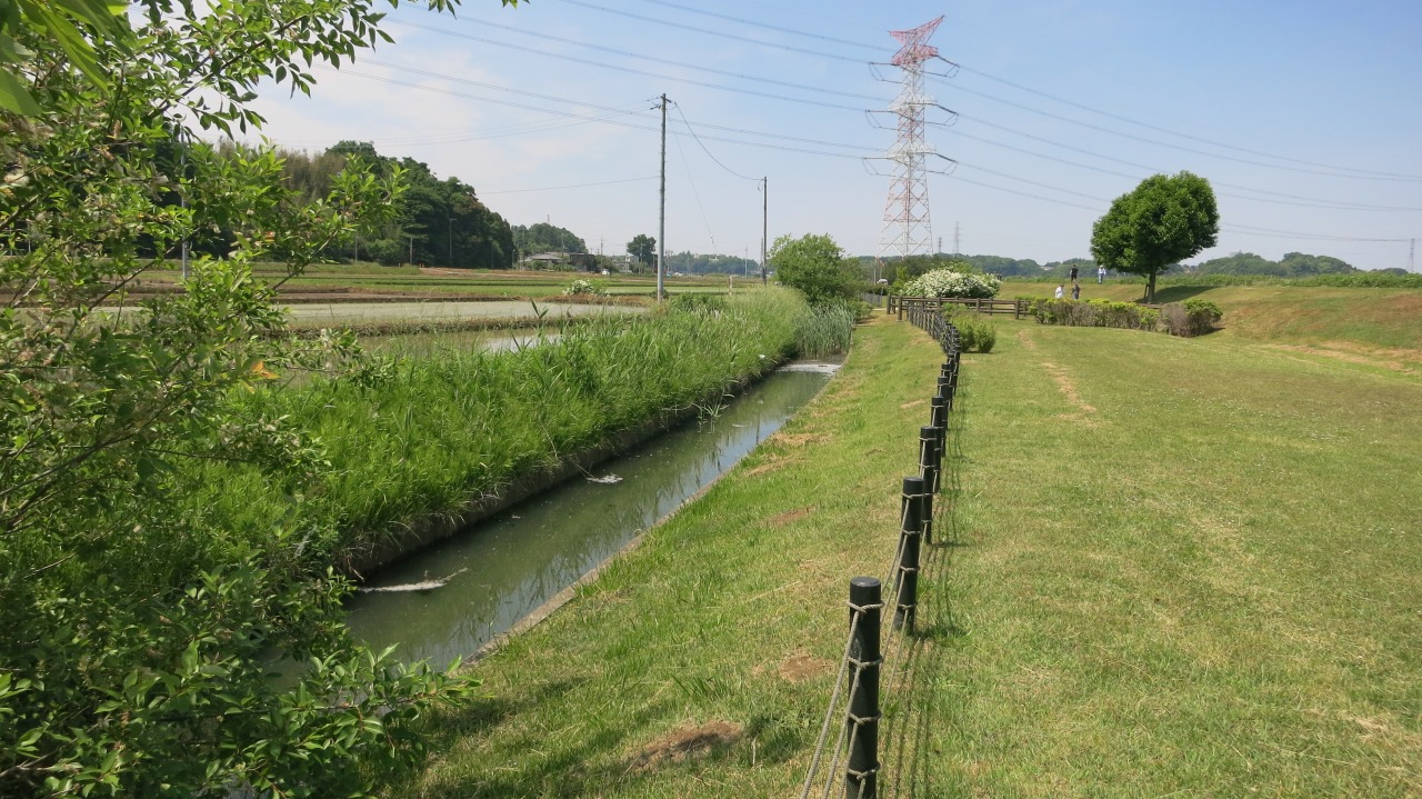 水辺の自然風景と狩場の様子2