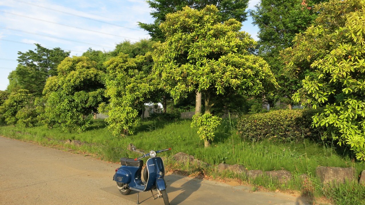 vespa100試運転後の状態