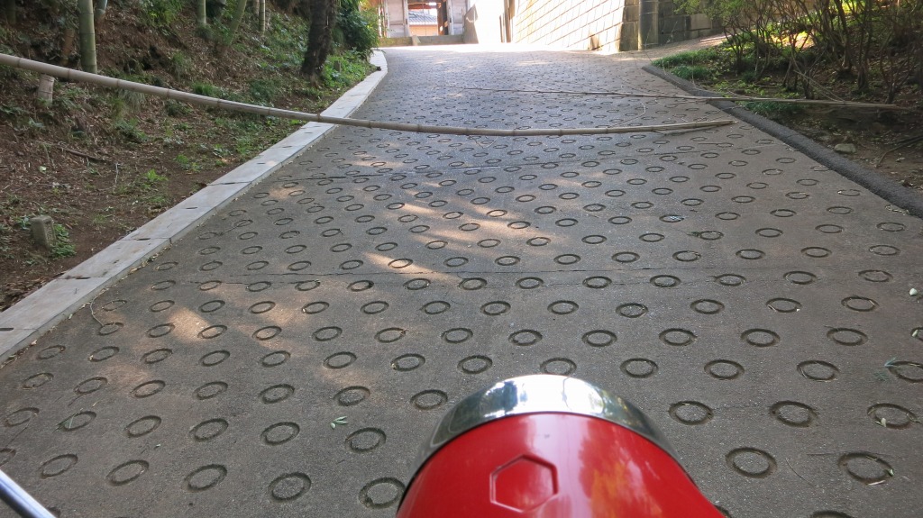 試運転中に倒竹で道を塞がれた場面