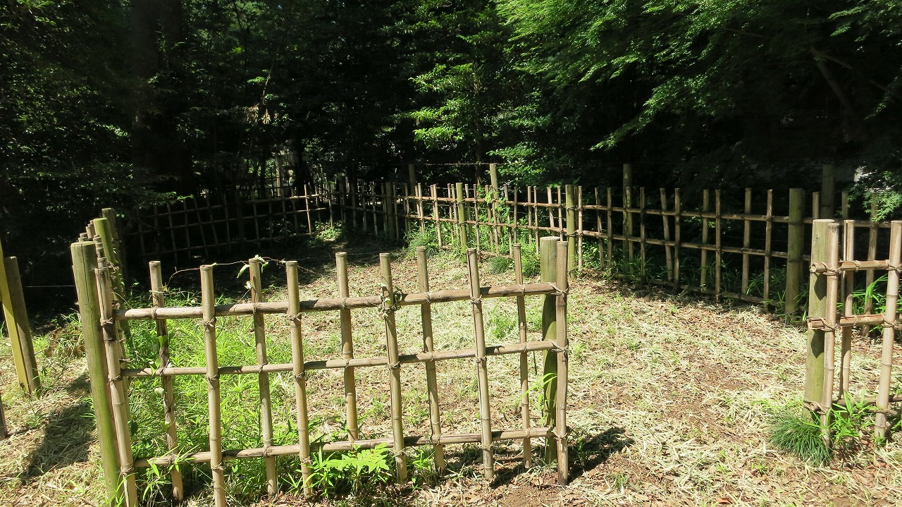 縄文時代の住居跡が残る宮根遺跡の風景