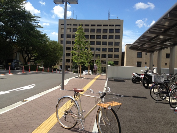 市役所内での手続きの様子