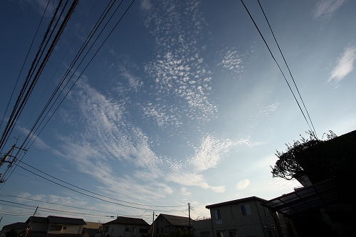 高くなった空と秋の気配を感じる風景