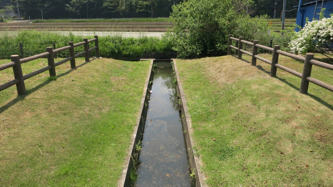 水辺の自然風景と狩場の様子3