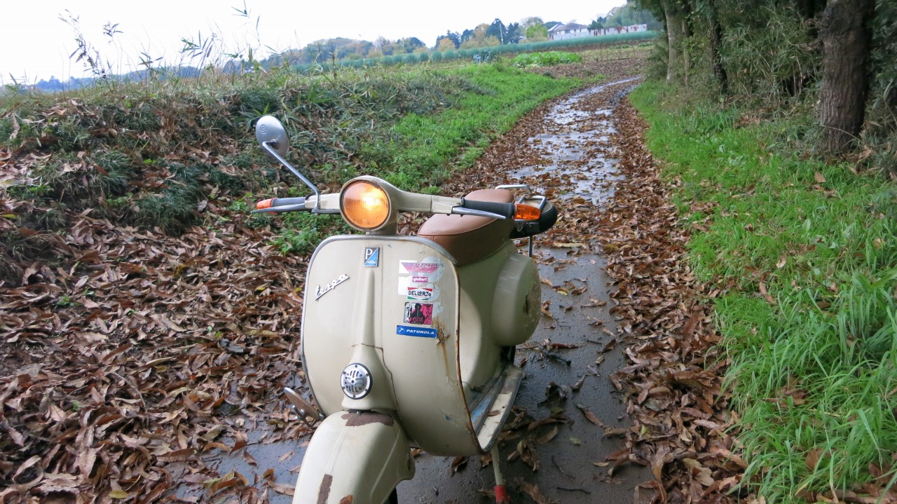 田舎道を走るvespa100の後ろ姿